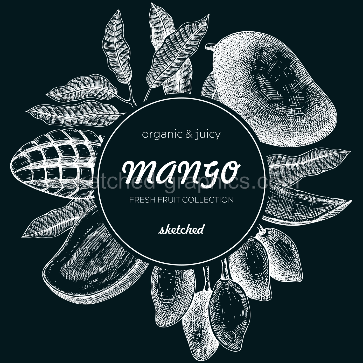  Tropical fruit banner. Summer background. Mango sketch on chalkboard, hand-drawn vector illustration. Juice packaging, invitation card template, print design. NOT AI generated Illustration